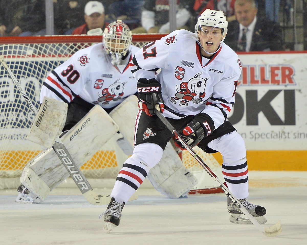 IceDogs on track for next season | BP Sports Niagara