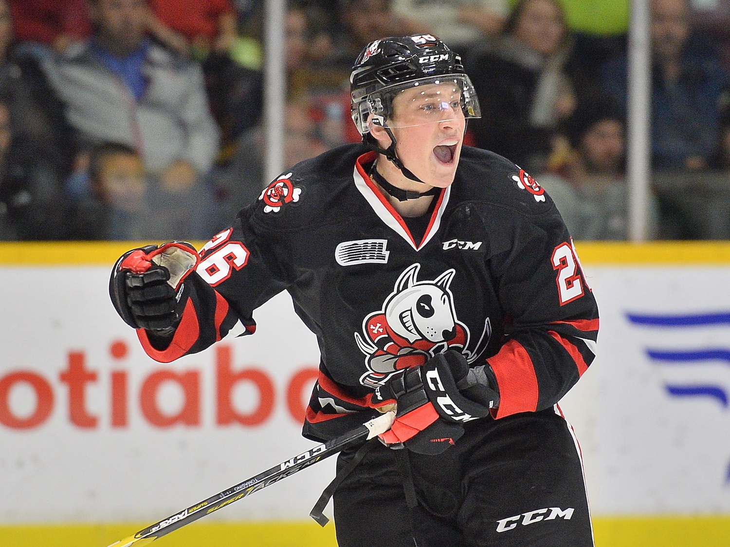 OHL's Niagara IceDogs to pay $150,000 fine for violating recruitment rules  – but major junior has bigger problems - The Hockey News