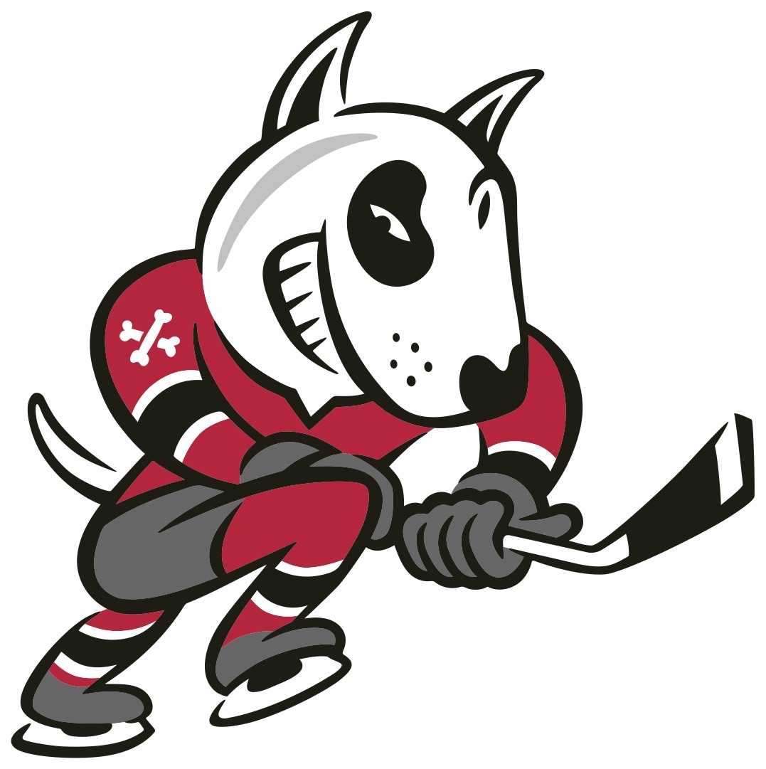 IceDogs draft review | BP Sports Niagara