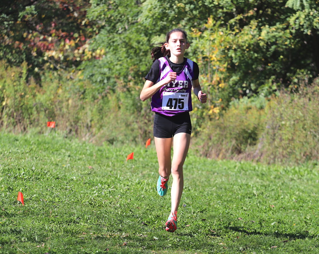 Locals mine medals at OFSAA cross country | BP Sports Niagara