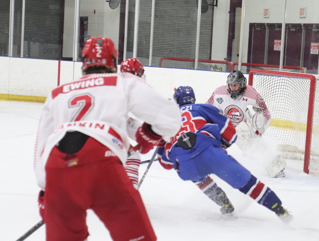 Backup Leads Falcons Past Welland | BP Sports Niagara