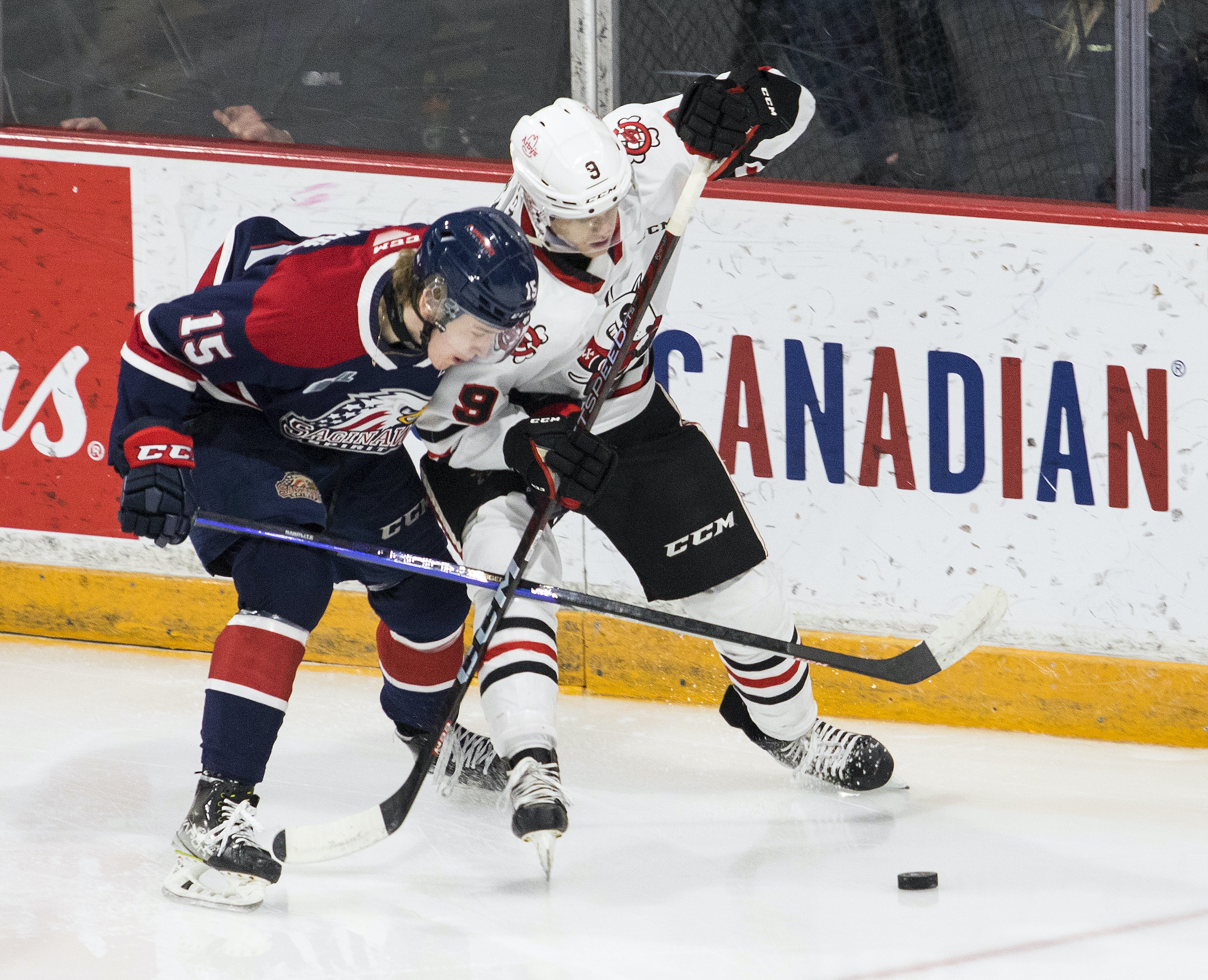 IceDogs Host Colts Tonight at 7:00pm - Niagara IceDogs