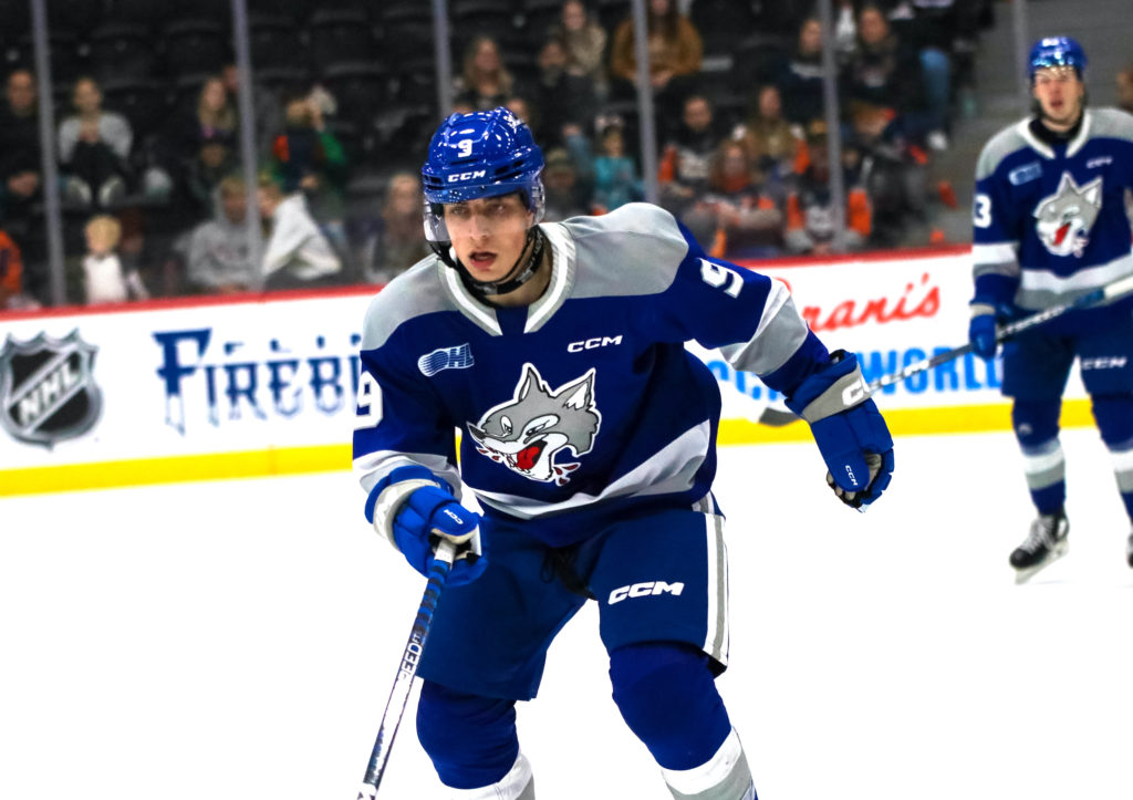 IceDogs active at trade deadline (updated with draft pick inventory