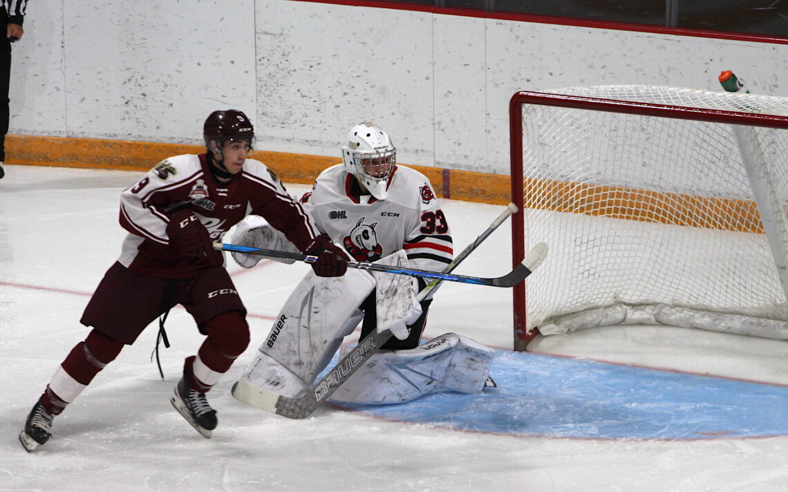 Icedogs deals goalie cut